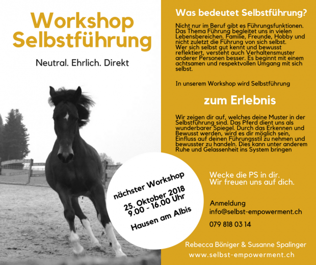 Workshops in Zürich