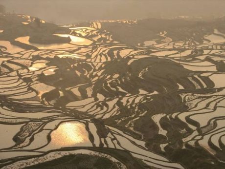 China - Yuanyang Rice Terraces