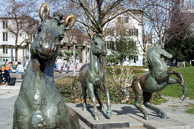 Tiere in der Stadt