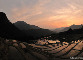 Die schönsten Reisterrassen in Japan | Japan-Geheimtipps