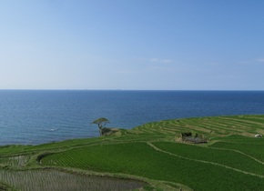 Die schönsten Reisterrassen in Japan | Japan-Geheimtipps