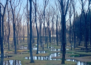 Japans poetischer Wassergarten | Japan-Reisetipps
