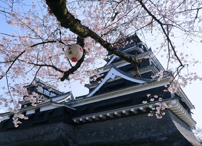 Bereit für Japans Kirschblüten: Japan-Geheimtipps, #3