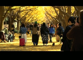 Herbstmagie in Tokio | Japan-Geheimtipps, #23