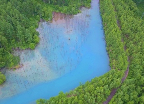Blue Pond: Japans schönster Teich | Japan Geheimtipps, #29