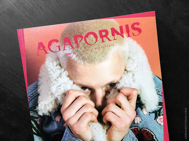 Agapornis Magazine – von Tieren und Menschen