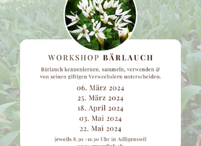 Bärlauch Workshop