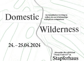 'Domestic Wilderness' installation at Stapferhaus