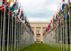 Die Schweiz im UNO-Sicherheitsrat