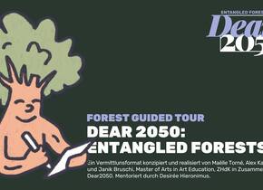 FOREST GUIDED TOUR