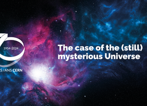 The case of the (still) mysterious Universe