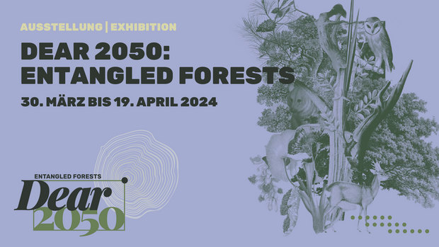 Dear2050: Entangled Forests