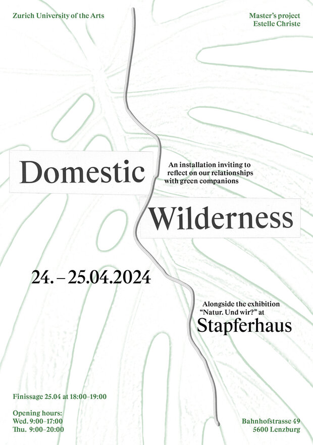 'Domestic Wilderness' installation at Stapferhaus