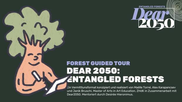 FOREST GUIDED TOUR