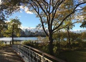 Rooms to rent in Manhattan New York - Upper West Side,...