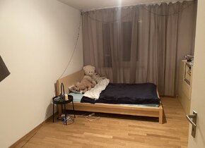 Shared Flat, 1-room in 3 rooms Flat.