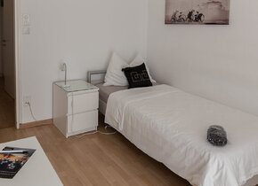Furnished apartment in the heart of the city