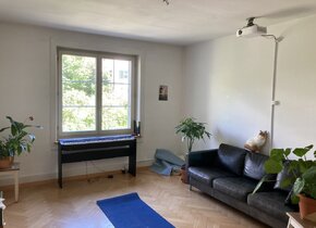 Summer apartment to rent in Bern (Mid July till mid August)