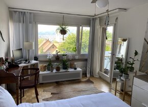 Sunny, furnished room in shared flat for july