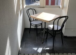Wonderful apartment 16‘ from Zurich City