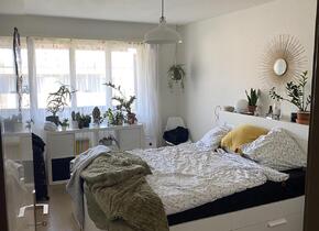 Lovely, furnished 2.5 room apartment