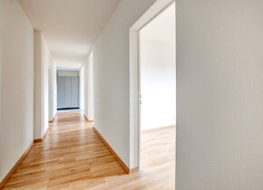 Big room available in WG in Kreis 10 Zurich