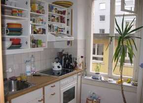 Subletting 3 room apartment in Zurich (Kreis4) for Feb /...
