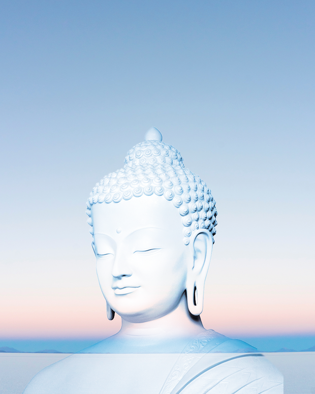 Meditate in the Mountains - Introduction to buddhist...