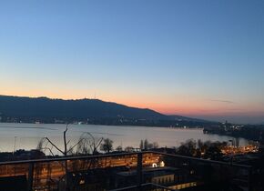 Zurich: Xmass / New Year with a lake view