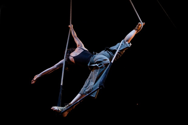 Hier lernst du Zirkus:
Wöchentliche Akrobatik-Kurse im...