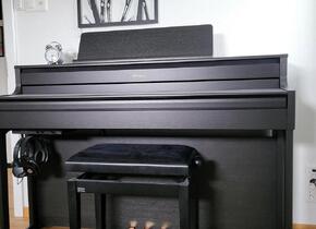 Neuwertiges E-Piano - Roland HP 704 CH Charcoal Black