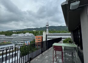 Attraktive helle Büroräumlichkeiten in Binz, Zürich