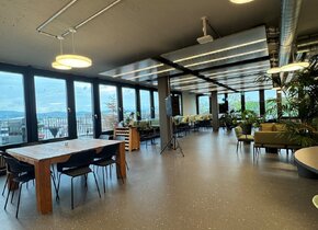 Attraktive helle Büroräumlichkeiten in Binz, Zürich