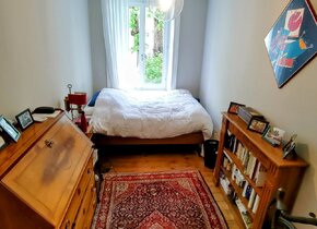 Gemütliche 3 Zimmer Wohnung im Herzen von Zürich (Kreis 5)