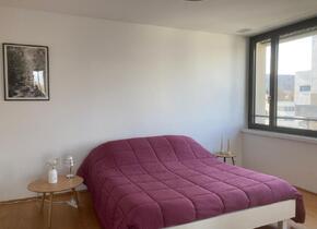 Bright and Comfortable 2.5-Room Apartment, 65 sqm + 35...