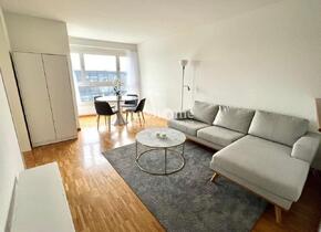 Fully furnished & equipped 2-room apartment in Zug (available for l...