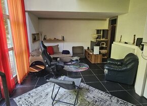 Wohnung / Atelier in Adliswil
