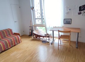 Nice Room in heart of Zurich