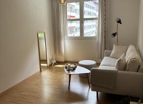 4.5 Zimmer Wohnung in Luzern zu vermieten (befristet).