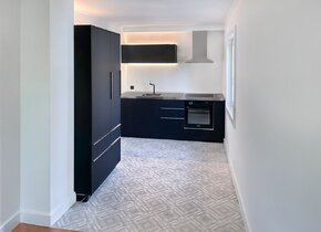 Lavishly renovated flat