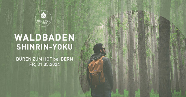 Waldbaden (Shinrin-Yoku) – Achtsamkeit im Wald