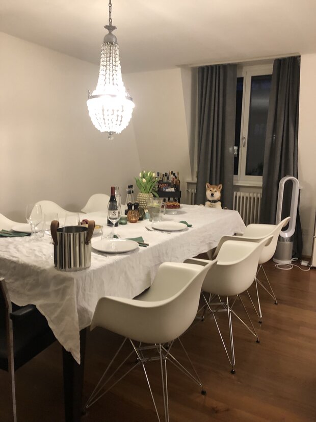 Gemütliche Wohnung in Zürich zur Untermiete für 6 Monate (möbiliert) - einziehen und geniessen