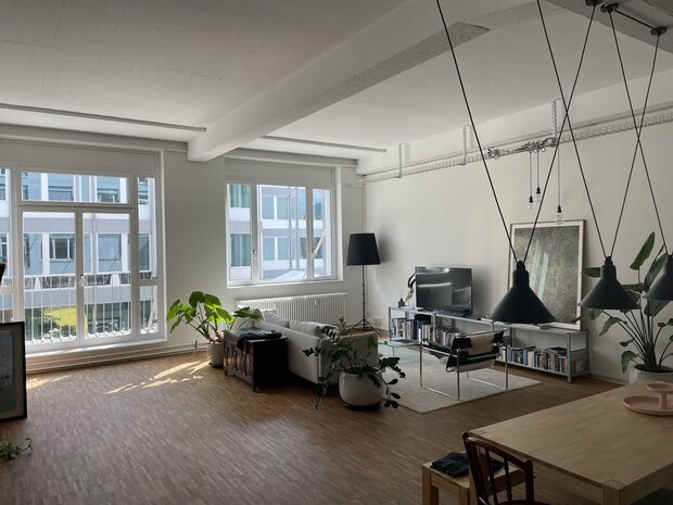 Room available in loft apartment near Kalkbreite