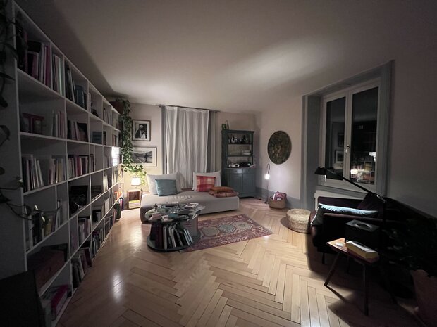 Suche House-Sitter für 4.5 Zimmer Wohnung in Luzern
