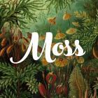 Moss Concept Store