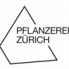 Pflanzerei Boschung GmbH