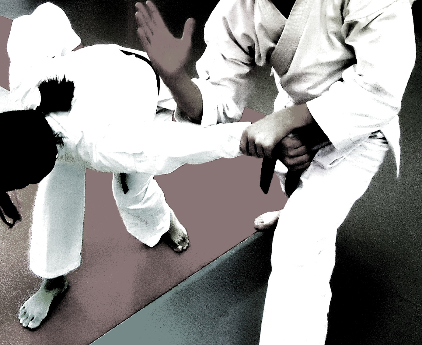 Goju Ryu Karate Startup